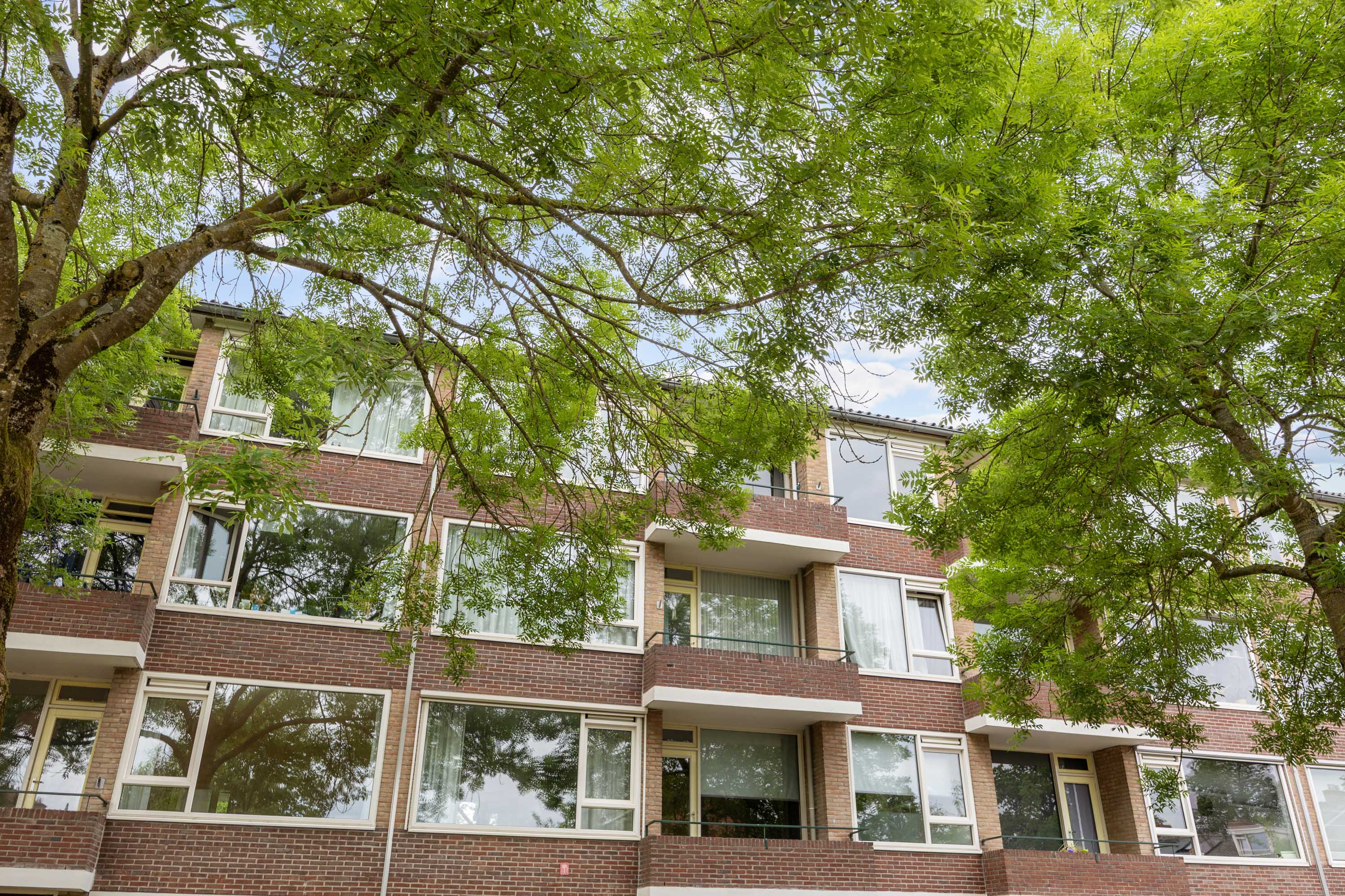 Duindoornstraat 5