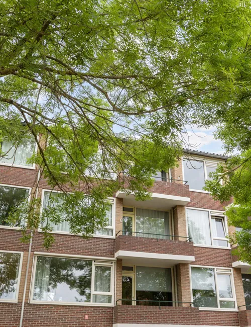 Duindoornstraat 5