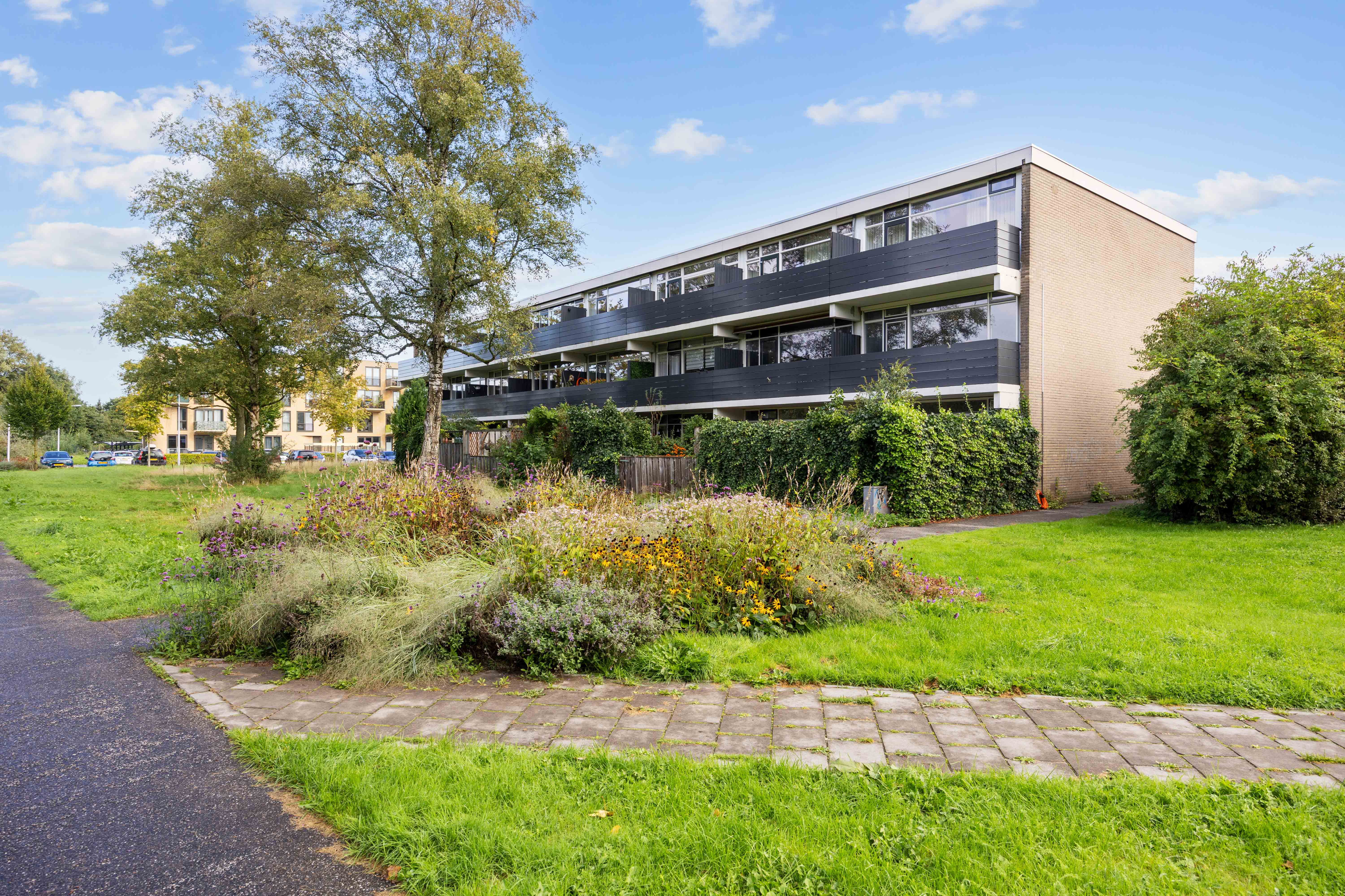 Walstro 6