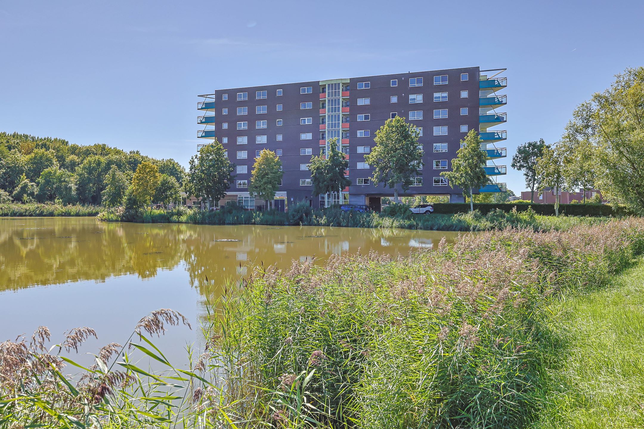 De Held 69 Groningen